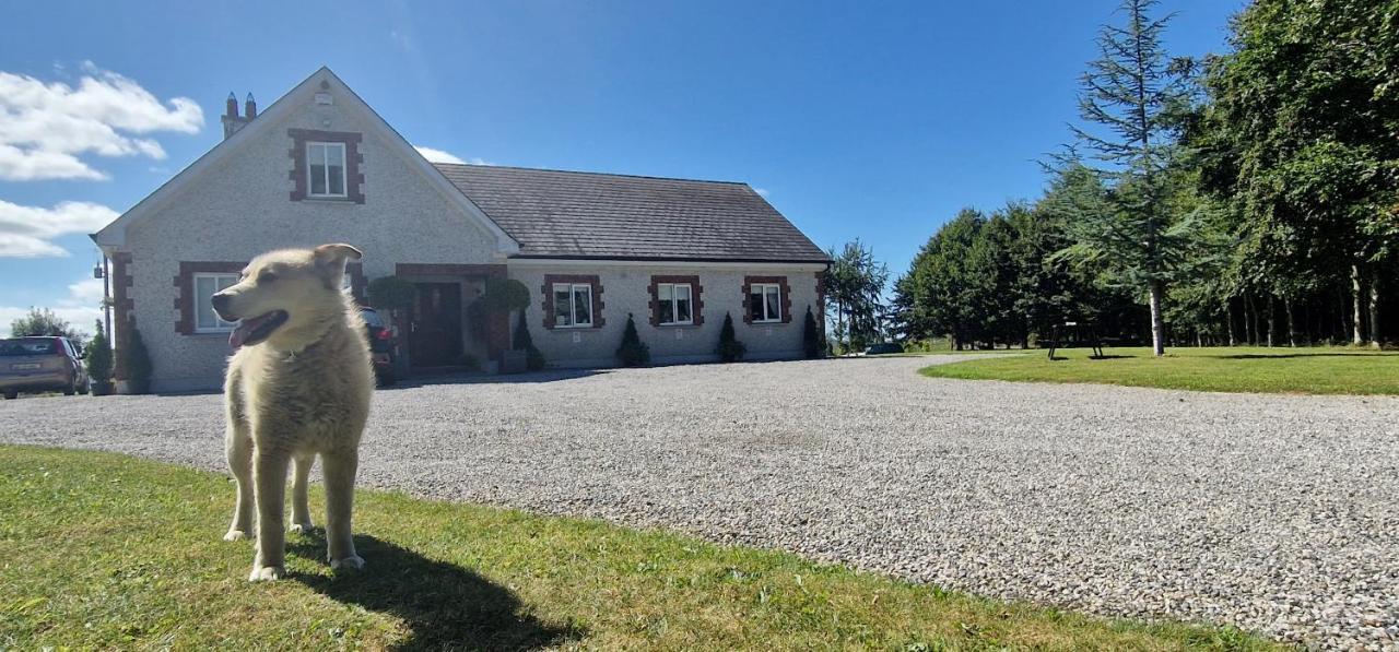 Littlefield B&B Durrow, Laois Ngoại thất bức ảnh